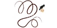 Cove Collide - Home
